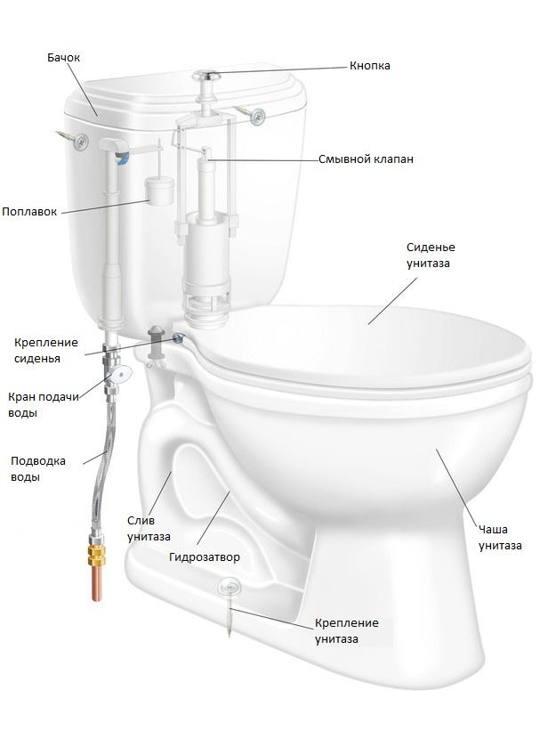 унитаз из чего состоит