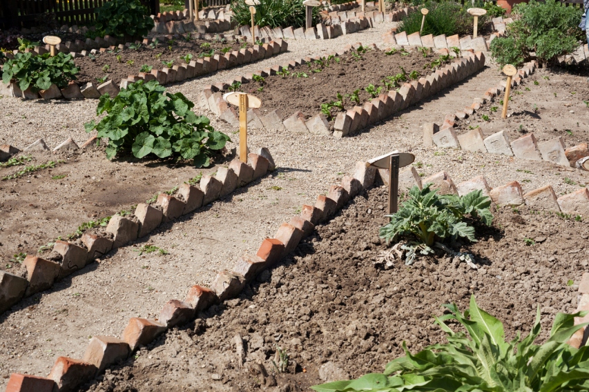 Облегчим свой труд на участке: как планировать огород и сад