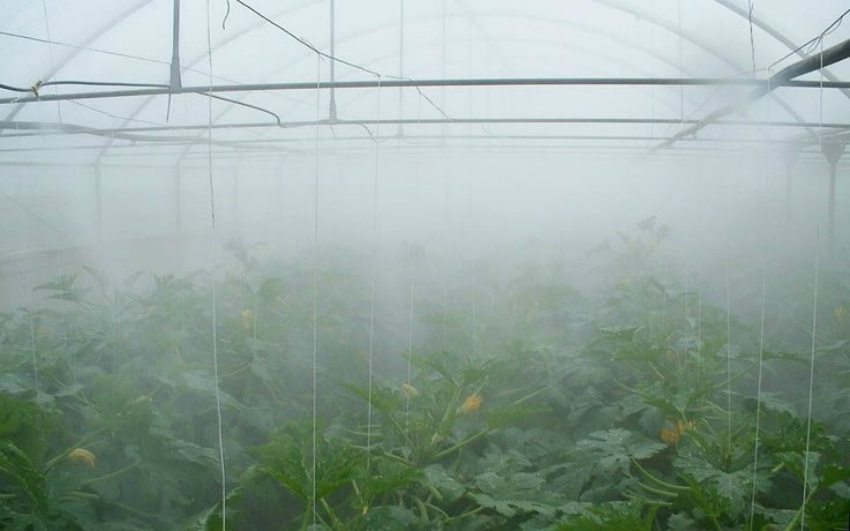 Система туманообразования своими руками