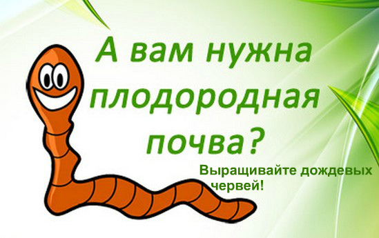 вермикультура